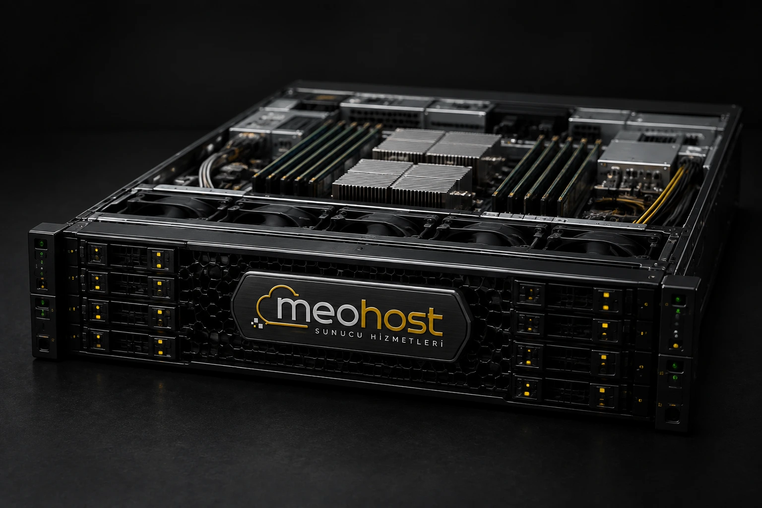 MeoHost metal baskılı fiziksel sunucunun ön paneli ve kurumsal donanım detayları